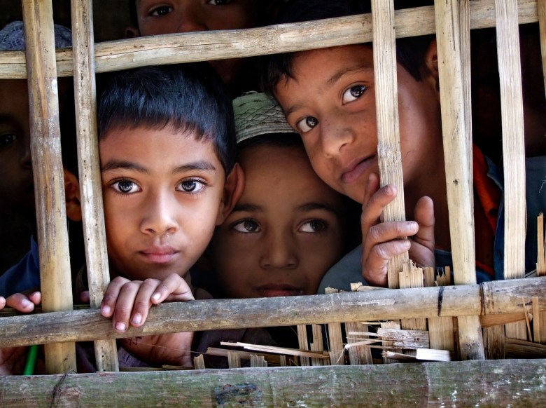 Oliviero Masseroli - Segnalata